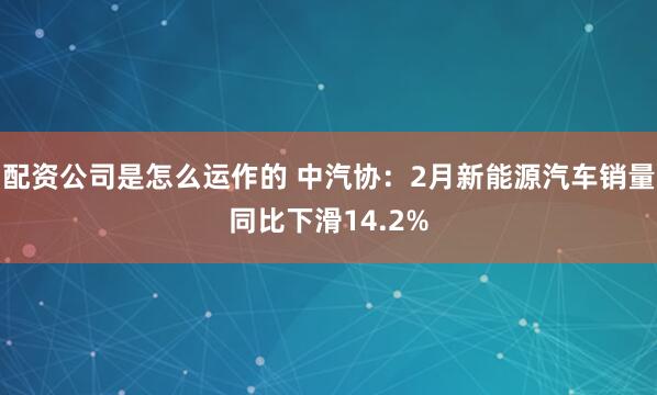 配资公司是怎么运作的 中汽协：2月新能源汽车销量同比下滑14.2%